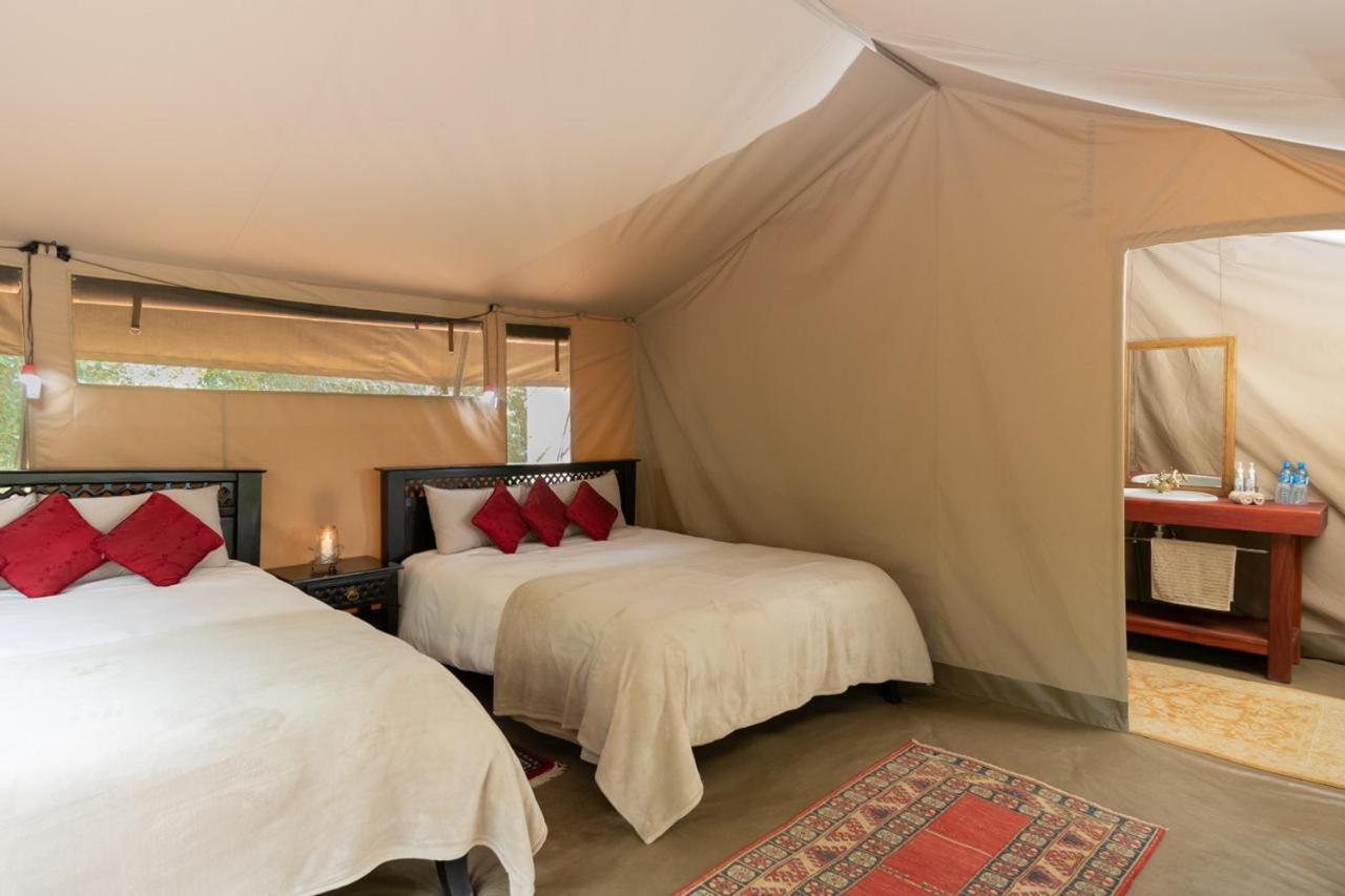 Bed and Breakfast Hammerkop Migration Camp Maasai Mara Exterior foto