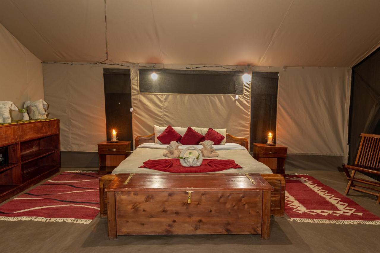 Bed and Breakfast Hammerkop Migration Camp Maasai Mara Exterior foto